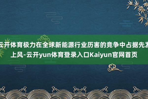 云开体育极力在全球新能源行业历害的竞争中占据先发上风-云开yun体育登录入口Kaiyun官网首页