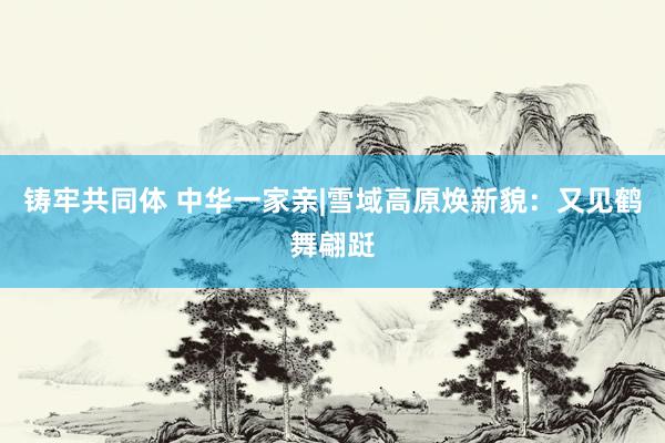 铸牢共同体 中华一家亲|雪域高原焕新貌：又见鹤舞翩跹