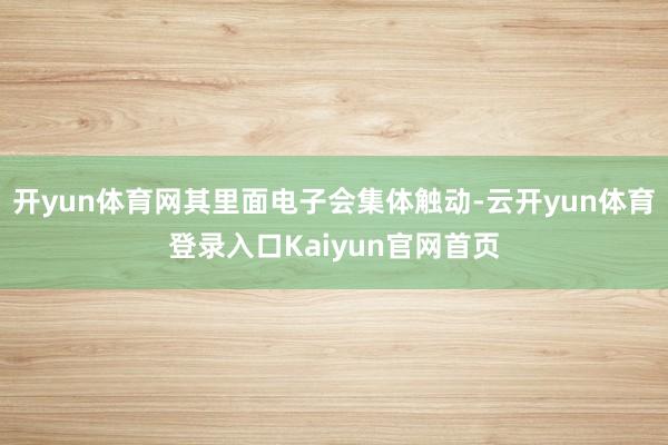 开yun体育网其里面电子会集体触动-云开yun体育登录入口Kaiyun官网首页