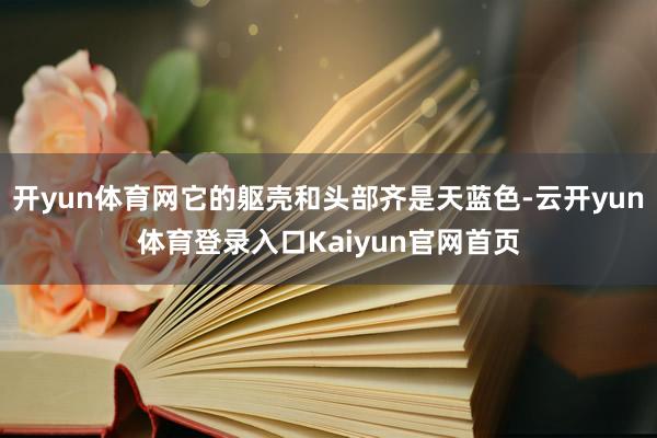 开yun体育网它的躯壳和头部齐是天蓝色-云开yun体育登录入口Kaiyun官网首页